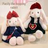 Xiaohongshu Popular Droopy-Eared Rabbit Plush Toy - Soothing Doll & Birthday Gift