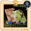 [PRE-ORDER] NiziU Korea 1st Mini Album - Sour Grapes (Grape Charm Ver.)