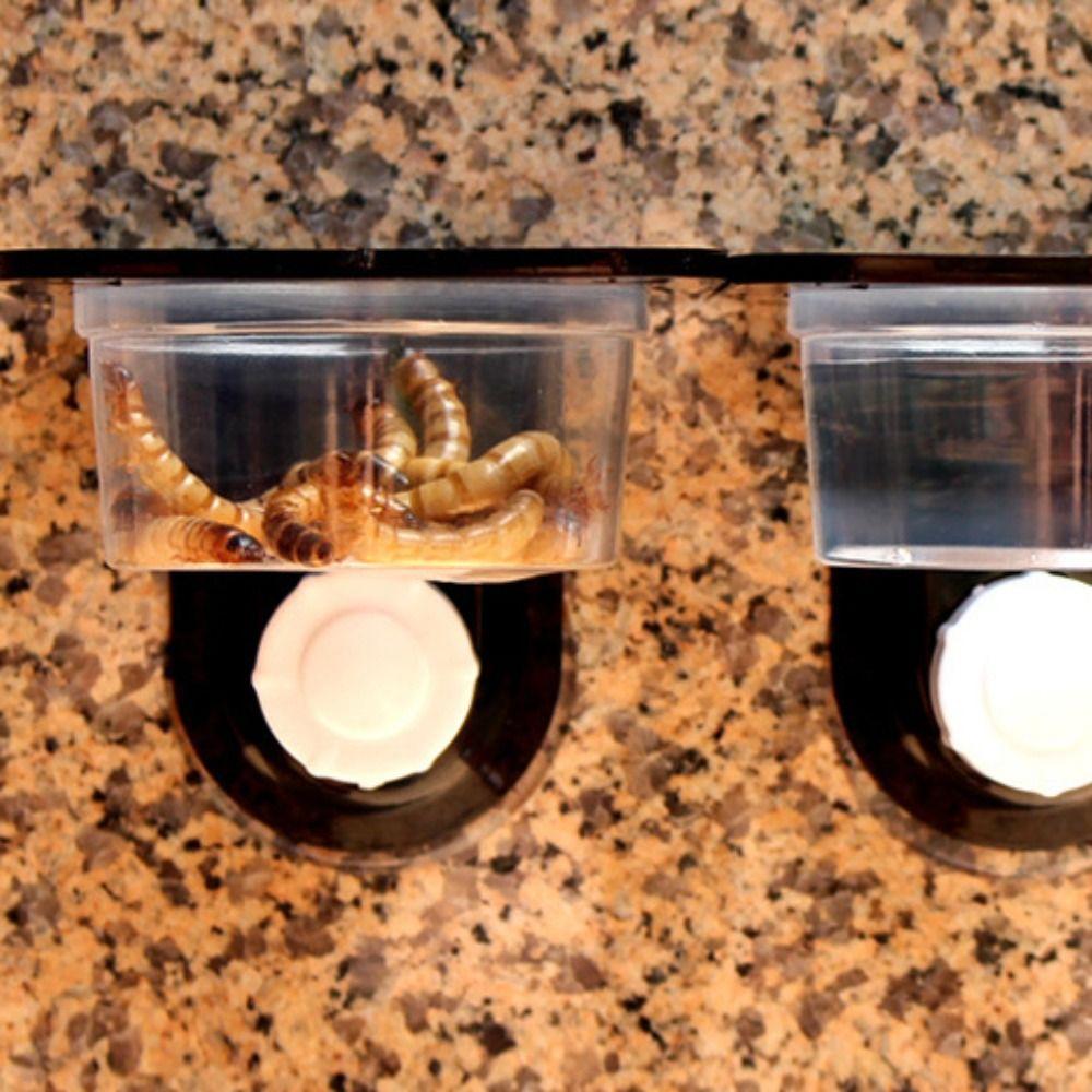 Dual Purpose Reptile Feeder Bowl BPA Free Gecko Feeding Ledge Spider Mealworm Bowl  for Snake