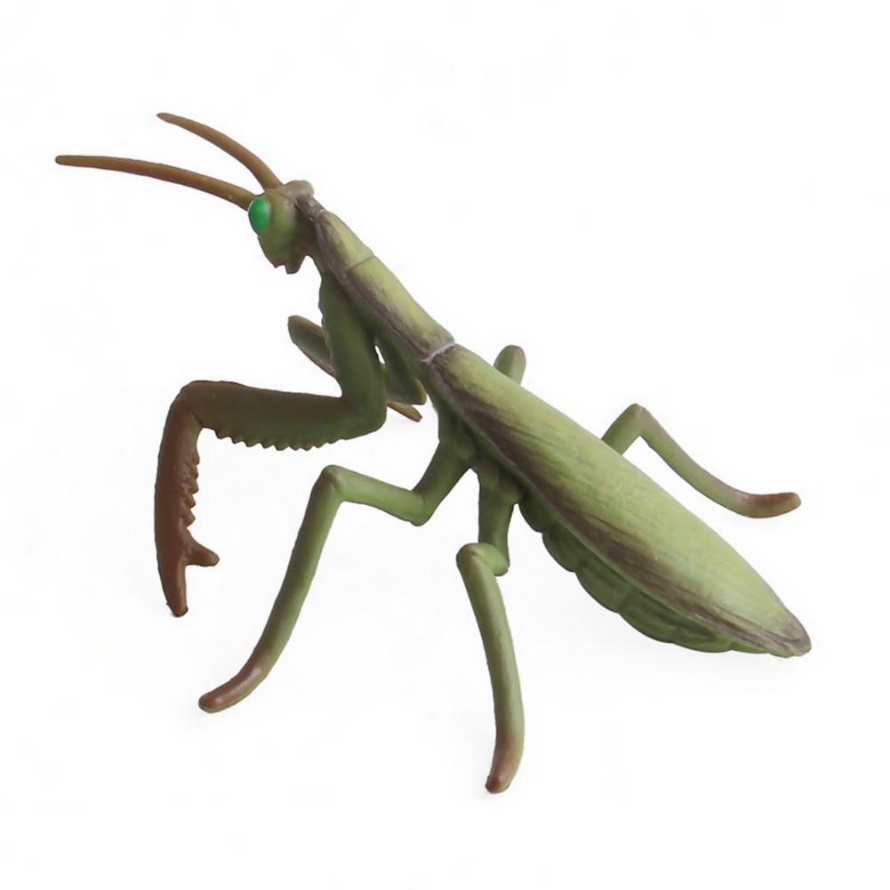 For Children Animal Toys Educational Resource High Simulation Reallistic Insects Figures