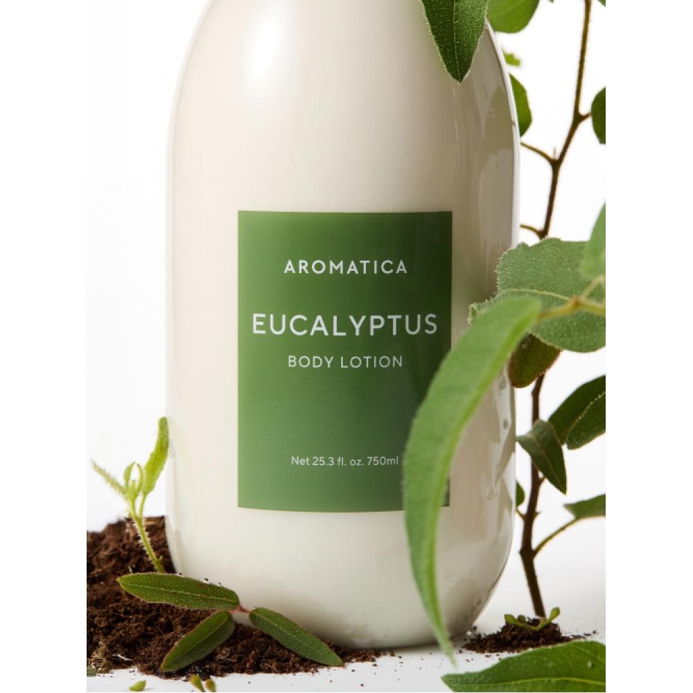 Aromatica Eucalyptus Body Wash 1l   Body Lotion 750ml Set