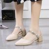 2025Summer Korean Version Fashion Rhinestone Toe Slippers Thick-heeled Pointed Women's New Hot Hong Kong Style Two-wear Sandals