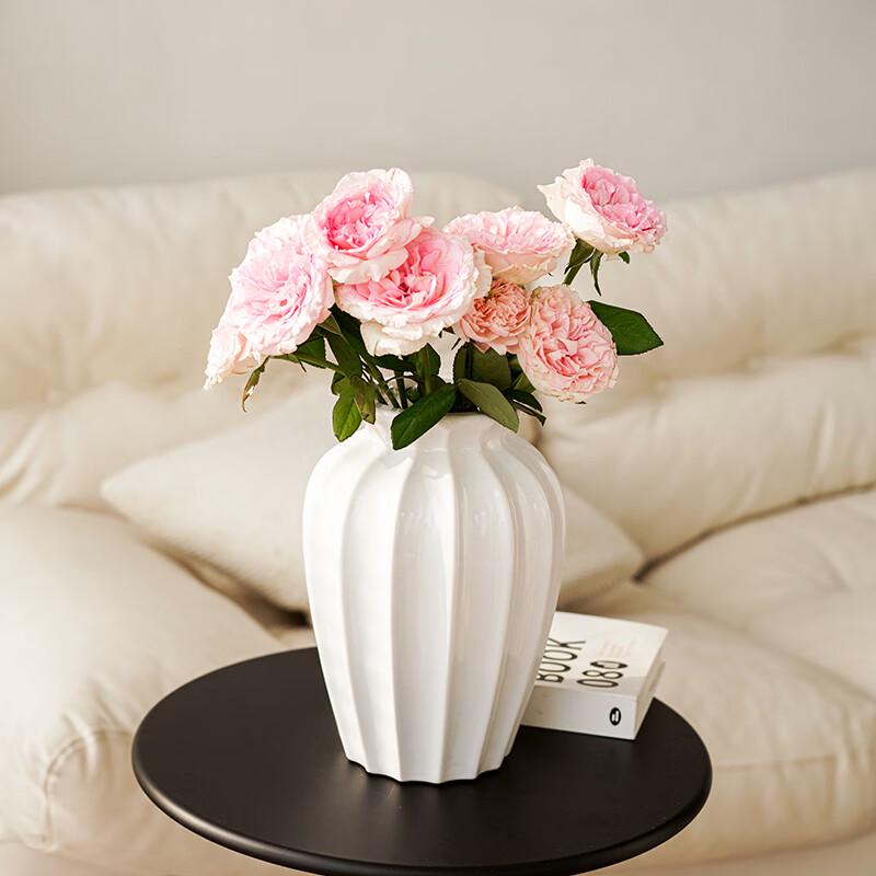Elegant & Versatile Ceramic Decorative Vases