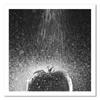 Canvas Print, Tomato In a Stream of Water Nature