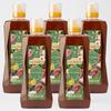 Flo Biz Signature Wildflower Honey 2kg Vietnamese Natural Honey, 2kg, 5 Units