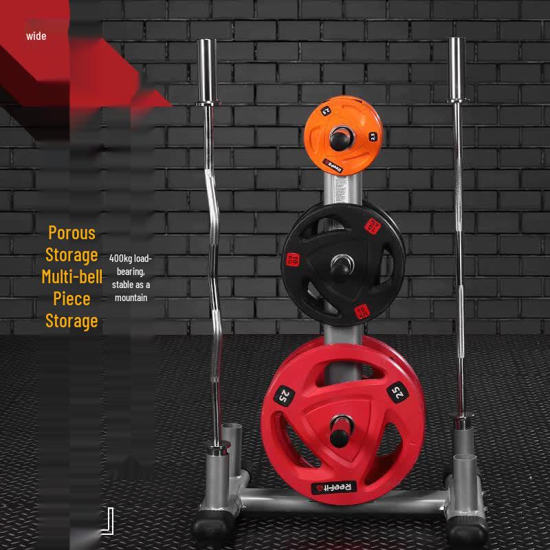 Gym Barbell Plate and Bar Storage Rack