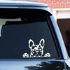 Car Sticker  Paws Up French Bulldog Frenchie Bully Dog Decoration Vinyl Decal Reflective Laser 3D Car Stickers Car Styling