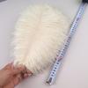 10Pcs 30-35cm Ostrich Feathers for Crafts Wedding Decoration 12-14" Handicraft Accessories Table Centerpieces Carnival Plumas