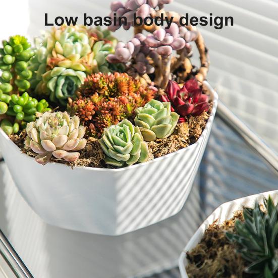 1 Set Flower Pot Solid Construction Large Capacity Resin Indoor Succulents Large Diameter Flower Pot for Home