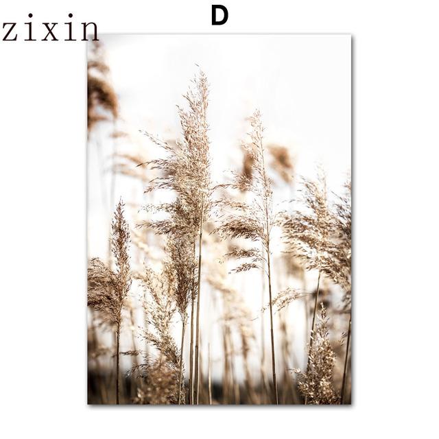 Beige Grassland Landscape Lion Zebra Bird Animals Wall Art Canvas Painting Nordic Posters And Prints Living Room Interior Decor