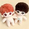 Süßes 20cm TF Family F4 Wang Lujie Mu Zhicheng Baumwollpuppen-Set Luk Xiaomutou Nackt Plüsch Locken Idol Spielzeug Geschenk für Star-Fans Sammlerstück Zubehör