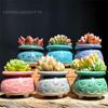 Flowerpot Cat Claw Ceramics Creative Modern Design Meat Flowerpot Flower Pot Draining Hole Meat Flower Pot High Quality Bonsai
