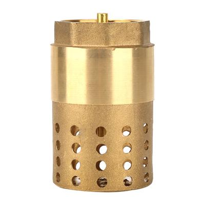 Brass One Way Female Thread Foot Valve Mesh Check Valve with Holes Strainer Filter DN25