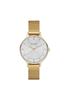 Anita Gold Mesh Ladies Watch SKW2150