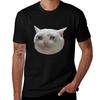 Crying Cat Jpg Tshirt Big And Tall Loose Fit Tshirt