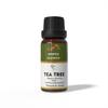Ananta Tea Tree Essential Oil 10 Ml | Melaleuca Alternifolia Aromatic Oil | Fresh Herbal Essential Oil