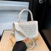 2025 neue kleine quadratische Tasche Temperament Nischendesign modische ausländische Textur Umhängetasche Messenger lässige Damenhandtasche