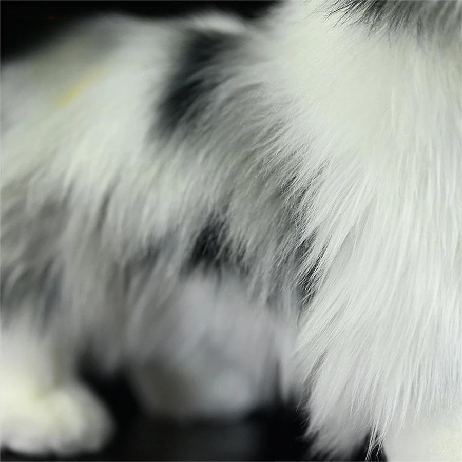 Border Collie High Fidelity Anime Cute Plushie Sheep Dog Plush Toys Lifelike Animals Simulation Stuffed Doll Kawai Toy Gifts