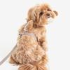 Ensemble harnais foreverybari (beige)