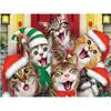 Peinture diamant thème chat de noël, broderie complète 5d, ronde, artisanale, mosaïque, Animal, décoration de maison, Art mural