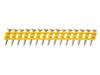 Dewalt Gwoździe Dcn890 Std 2,6 X 55Mm 510Szt.