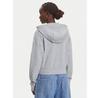 Tommy Jeans Sweatshirt DW0DW21147