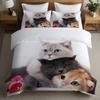 Comforter Cute Three Kittens 3D Print Bedding Set For Kid Teen Adult Animal Style Soft Comfortable Home Polyester