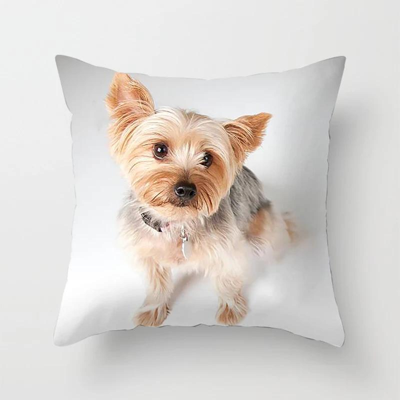 Schlafzimmer Sofa Lendenkissenbezug Auto Dekoration Niedlicher Hund Yorkie Yorkshire Dekor Druck Kissenbezug