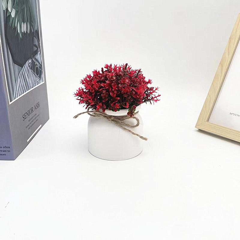 Plastic Veronicastrum Caulopterum Flower Pot With Rope Butterfly Tie For Home Decor And Garden Display