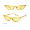 Elegant Women Cat Eye Design Sunglasses With Retro Small Eyeglass And Uv Protection