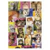 Puzzle Life Süße Katzenfamilie, 21 x 28,5 cm, 1 Stück Puzzle, Kinderspiele, Lernspielzeug