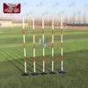 Zhongque Agility Training Pole Set