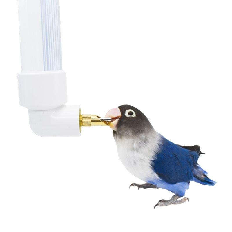 Water Bottle Automatic Feeder for Birds Guinea Pigs Hamsters Small Animals No Drip No Leak for Pet Cages 4.4oz