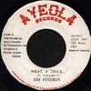 Disco de 7 polegadas EDI FITZROY What A Trick 4AY012 Ayeola Records 1987 Jamaica Reggae Ska Dub Usado