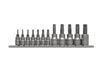 Yato Torx Key Set On Rail 12 Pcs.