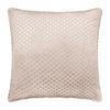 Neptune Velvet Cushion Cover