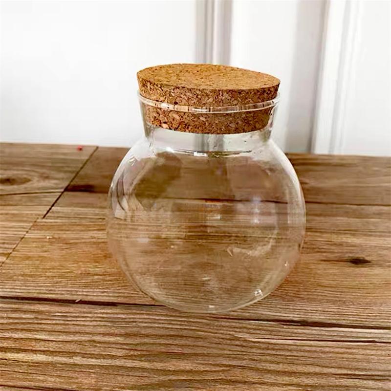Micro Landscape Glass Bottles with Cork Lid Glass Vase Bryophyte Moss Plant Container Glass Terrarium Bonsai Desktop Decoration