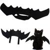 Party Supplies Cat Halloween Costume Halloween Decoration Puppy Dog Dress Up Dog Costumes Pet Supplies Bat Wings