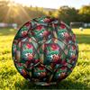 Portugal Football Printed Size 5 Soccer Ball Wear Resistant Standard Adult Training Football Fan Gift for Indoor Outdoor Match Sports