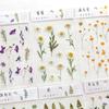 1 Sheet Fun Flower Plant Sticker Art Handbook Diary DIY Decoration PET Sticker for Album Notebook