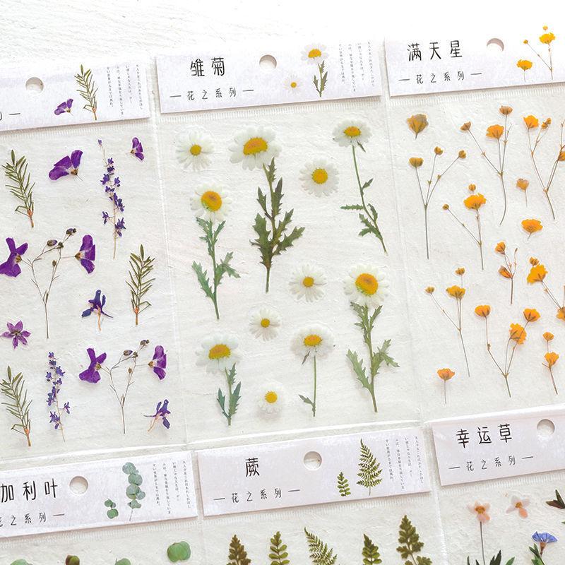 1 Sheet Fun Flower Plant Sticker Art Handbook Diary DIY Decoration PET Sticker for Album Notebook