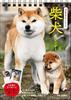[S3] 2025-ös Shiba Inu naptár, asztali írófelülettel [B6 függőleges] (Nagaoka Shoten naptár)
