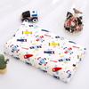 44x27cm Cuscino in Cotone per Bambini con Latex Motivo Stampa Cartone Animato Cuscino per Dormire per Bambini Alta Qualità Studente Singolo Cuscino per la Pausa Pranzo