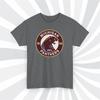 Michigan Panthers 1983 USFL Vintage Football Logo T Shirt - Wolverines