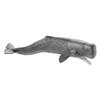 Schleich Wildlife Sperm Whale Ages Realistic Animal Toy 14764 Figurine, 3+,