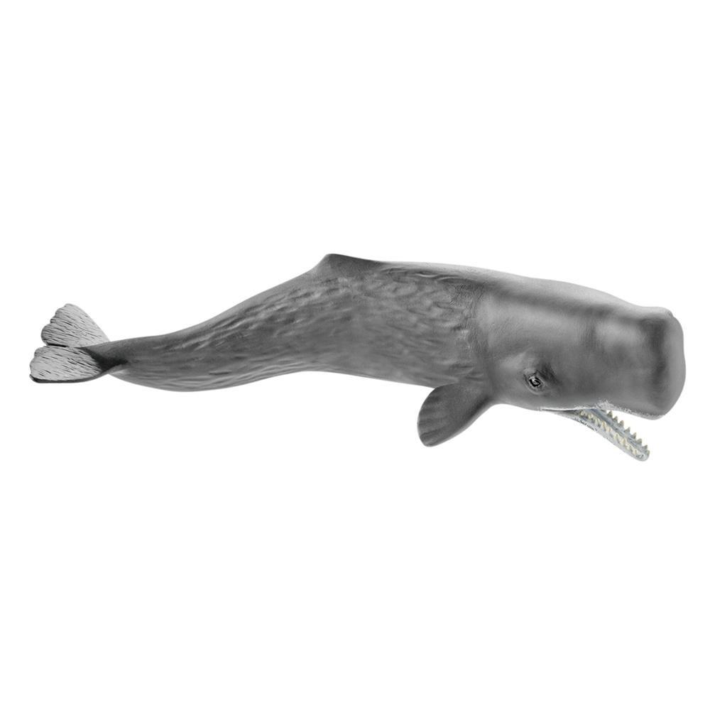 Schleich Wildlife Sperm Whale Ages Realistic Animal Toy 14764 Figurine, 3+,