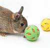 1 Stück Kaninchen Leckerliball Haustier Langsamfresser Interaktives Hasenspielzeug Snack Spielzeugball Bissfest Fütterungsspielzeug Frettchen Kätzchen Hamsterspielzeug