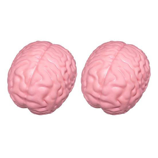 1/2Pcs Giant Simulation Brain Squeeze Toy Stress Relief Pink Brain Sensory Toy Decompression Slow Rising Realistic Brain Fidget Toy