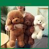 Adorable Teddy Dog Plush Toy Cute Sitting Puppy Doll For Girls Soft And Cuddly