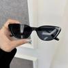 Designer Brand Cat Eye Sunglasses Women Men Casual Small Frame Sun Glasses Female Mirror Colors Luxurious Fashion